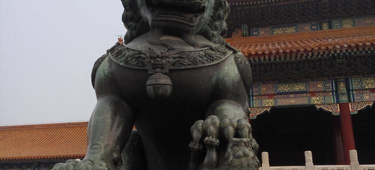 北京十分钟小院(大兴国际机场店)图片