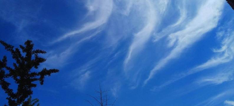 锦州冠巢居客栈图片