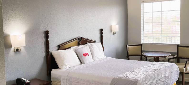 常青旅馆(Evergreen Inn)图片