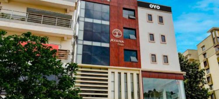 Super Collection O Royal Elevar图片