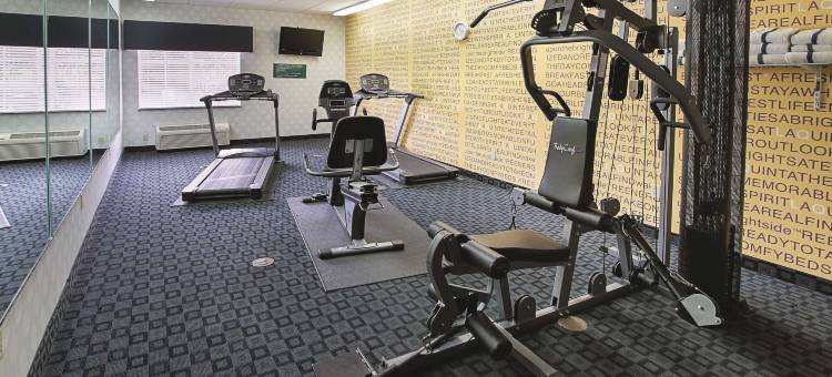 达拉斯哈钦斯拉昆塔温德姆套房酒店(La Quinta Inn & Suites by Wyndham Dallas - Hutchins)图片