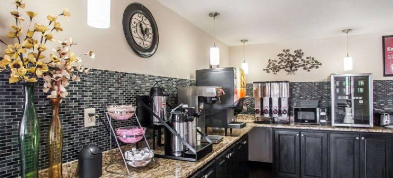 伊克诺套房酒店(Econo Lodge Inn and Suites - Jackson)图片