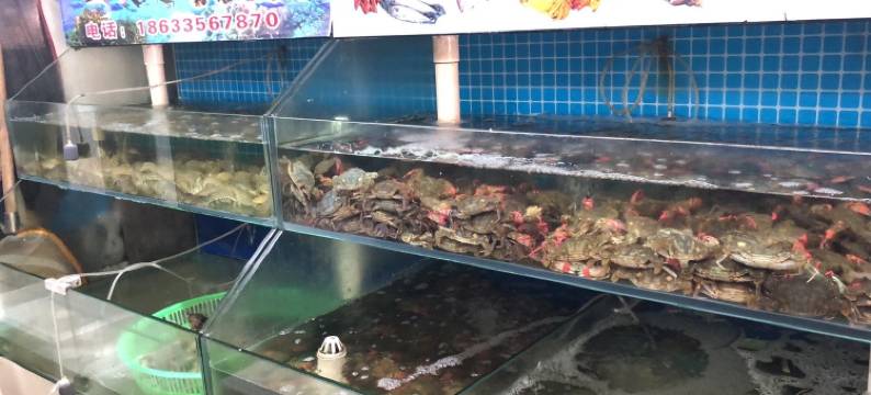 二姐温馨家庭民宿(和月大街分店)图片