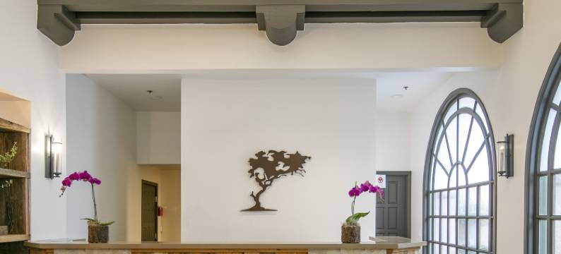 半月湾旅舍(Half Moon Bay Lodge)图片