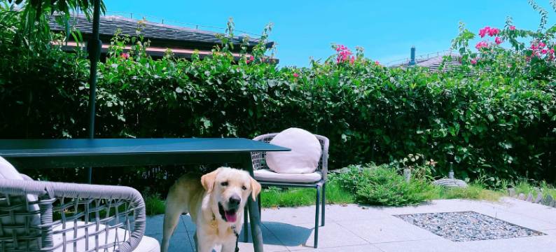 珊珊与海海度假别墅(龙魁线分店)图片