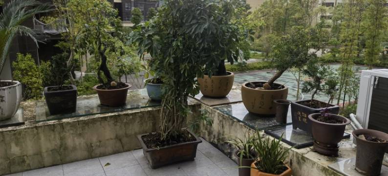 会客厅民宿(恩阳大道分店)图片