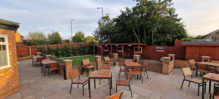 常春藤树(The Ivy Tree)图片