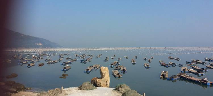 小绿的小绿公寓(潮文路分店)图片