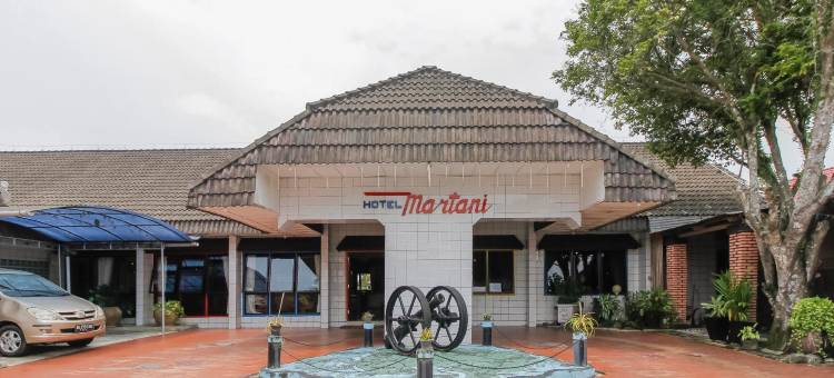 马塔尼酒店(Hotel Martani)图片