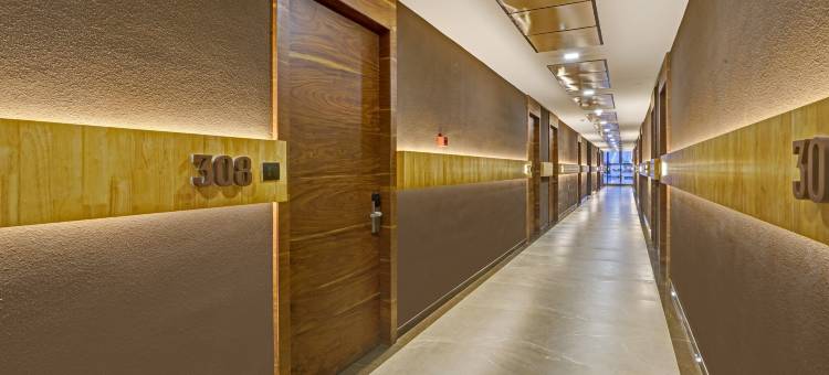 Treebo Premium 兰花酒店(Treebo Premium la Orchid, Big Temple)图片