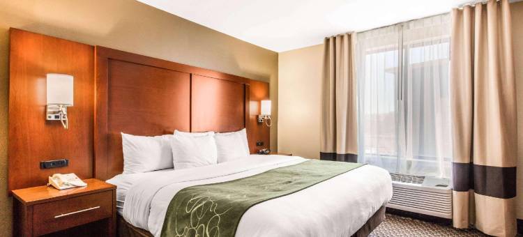 塔斯卡卢萨大学附近舒适全套房酒店(Comfort Suites Tuscaloosa Near University)图片