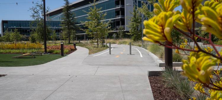 埃姆斯韦尔酒店(The Ameswell Hotel)图片