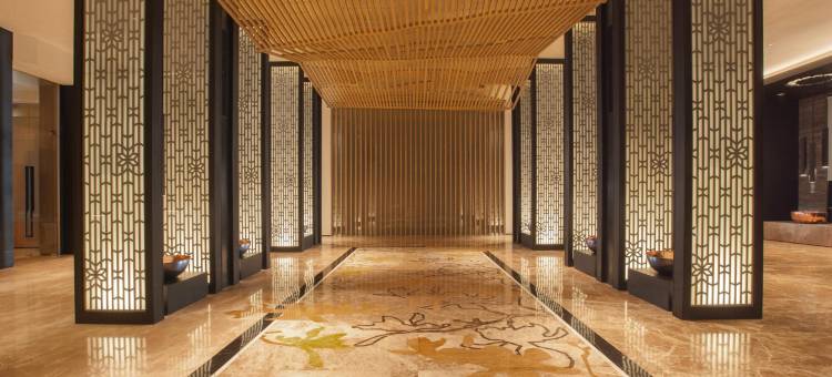 巨港萨提卡高级机场酒店(Hotel Santika Premiere Bandara Palembang)图片