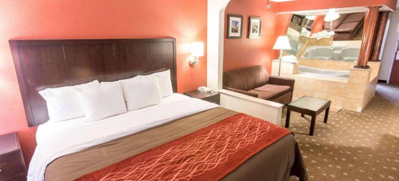 匹兹堡舒适酒店(Comfort Inn)图片