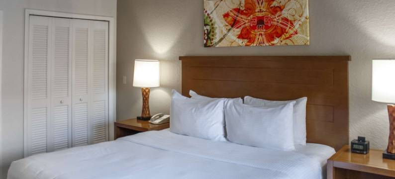 希尔顿假日俱乐部波利尼西亚群岛基西米(Hilton Vacation Club Polynesian Isles Kissimmee)图片