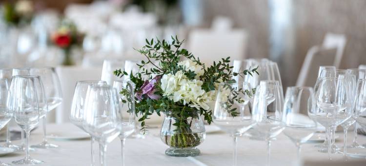 尼克斯宫殿住宿(Hotel Nixe Palace)图片