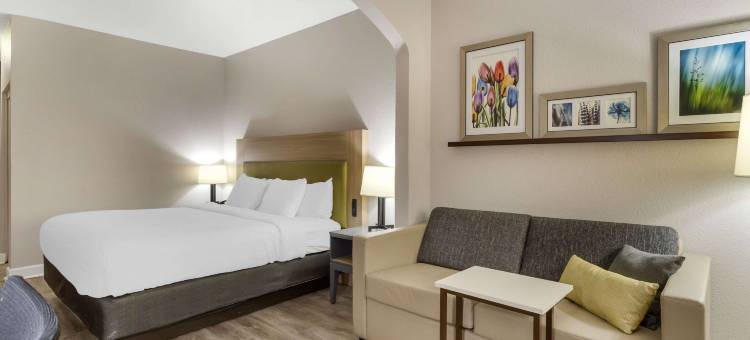 舒适套房-申纳多亚-伍德兰兹(Country Inn & Suites by Radisson, The Woodlands)图片