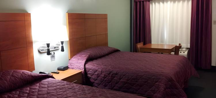 皮索尔皇家旅馆(Royal Inn Pearsall)图片