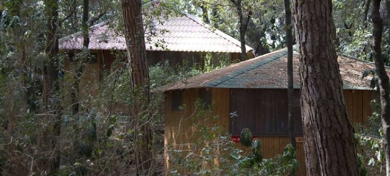 切奇纳俱乐部度假村(Villaggio Club Cecina)图片