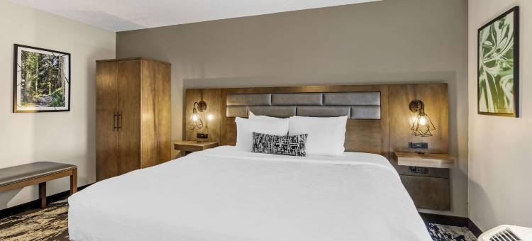 波旁贝斯特韦斯特优质套房酒店(Best Western Plus Bourbonnais Hotel  Suites)图片