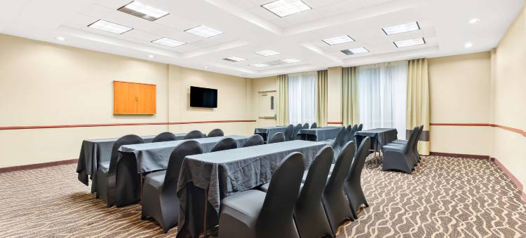 舒适套房酒店-坦帕机场北(Comfort Suites Tampa Airport North)图片