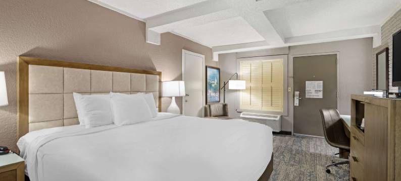 萨凡纳历史区贝斯特韦斯特优质酒店(Best Western Savannah Historic District)图片