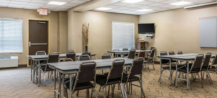 斯普林菲尔德舒适套房酒店(Comfort Suites)图片