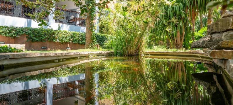 莫利诺花园酒店(Hotel Molino Garden)图片