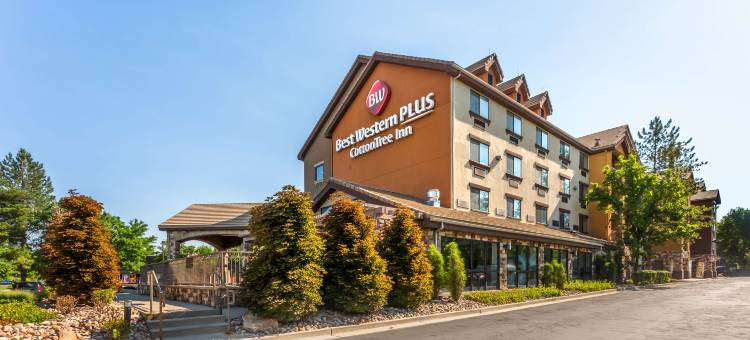山迪木棉树贝斯特韦斯特优质酒店(Best Western Plus Cotton Tree Inn)图片