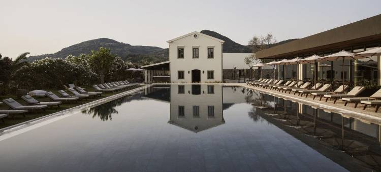 奥利瓦套房酒店(The Olivar Suites)图片