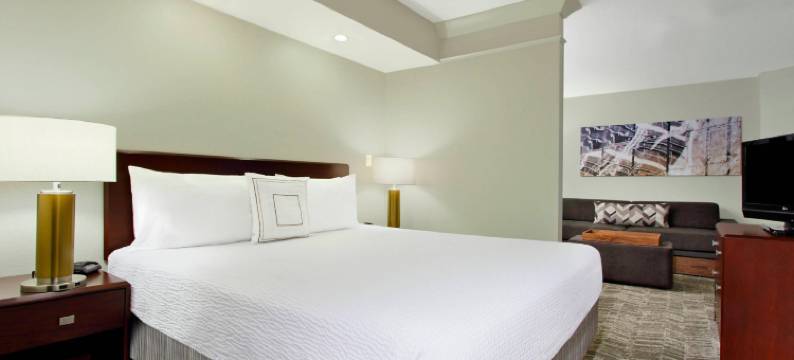 切萨皮克绿蔷薇SpringHill套房(SpringHill Suites Chesapeake Greenbrier)图片