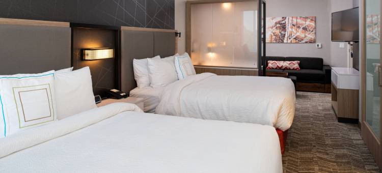 SpringHill Suites Kansas City Northeast图片