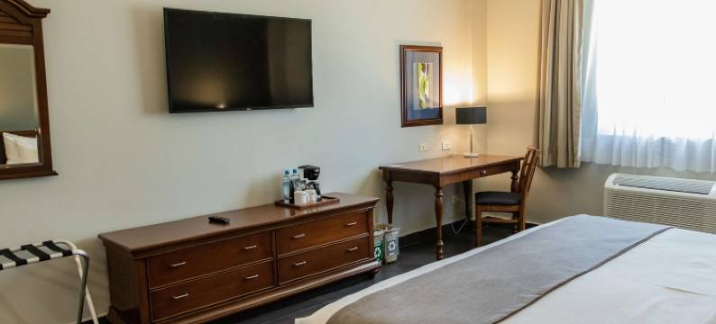 洛斯莫奇斯贝斯特韦斯特优质酒店(Best Western Plus Los Mochis)图片