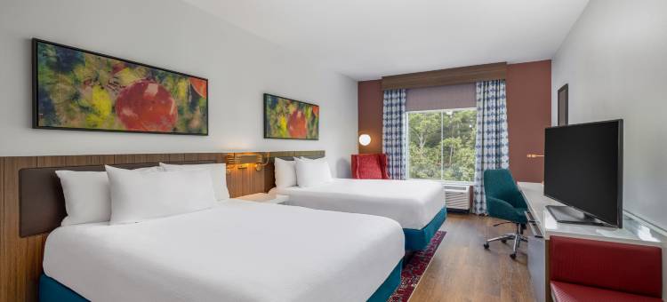 希尔顿花园酒店-亚特兰大桃树市(Hilton Garden Inn Atlanta/Peachtree City)图片