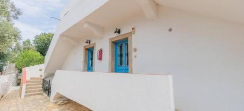 Norma's Village图片