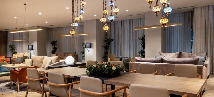 希尔顿花园酒店巴库(Hilton Garden Inn Baku)图片