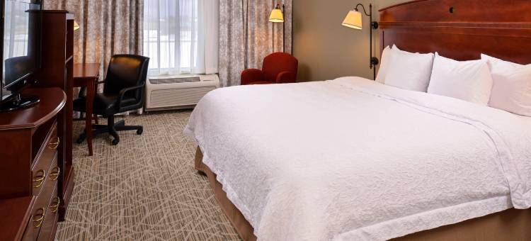希尔顿欢朋酒店利奇菲尔德(Hampton Inn Litchfield)图片