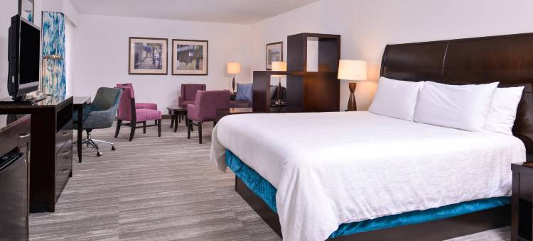 杰克逊维尔市中心南岸希尔顿花园酒店(Hilton Garden Inn Jacksonville Downtown Southbank)图片