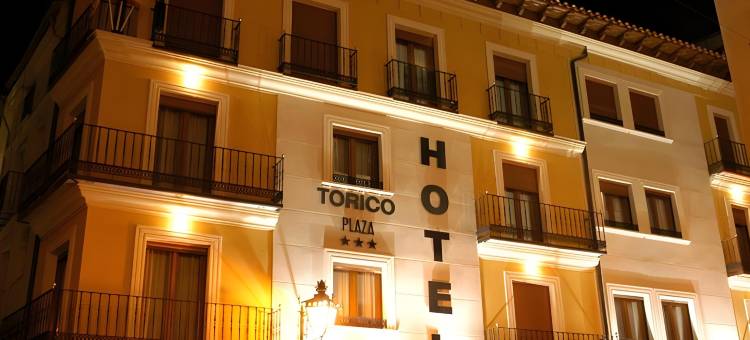 特尔都灵广场酒店塞尔科特酒店(Hotel Torico Plaza)图片