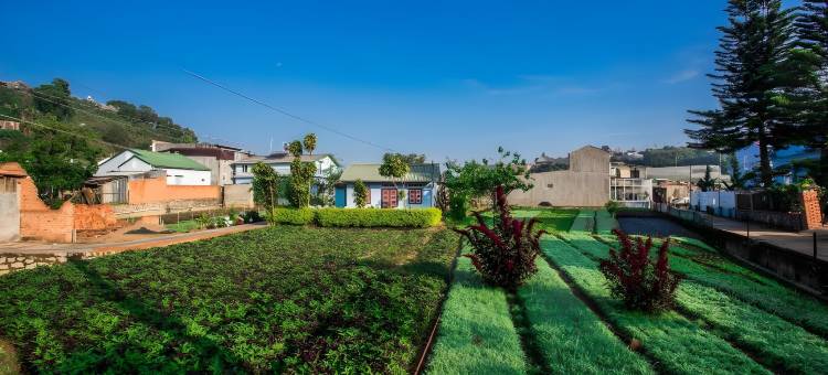 大叻巧克力家庭旅馆(Dalat Chocolate Homestay)图片