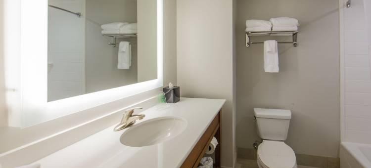 Holiday Inn Express 加特林堡(Holiday Inn Express Gatlinburg Downtown)图片