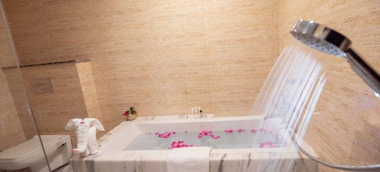 拉丽塔大酒店(Hotel Lalita Grand Mathura- Vrindavan)图片