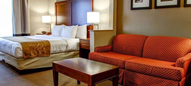 阿塔拉加兹登舒适套房酒店(Comfort Suites Gadsden Attalla)图片