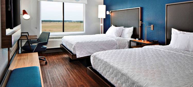 特雷尔希尔顿Tru酒店(Tru by Hilton Terrell)图片