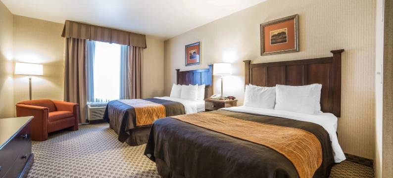 拉斯维加斯亨德森舒适套房酒店(Comfort Inn & Suites Henderson - Las Vegas)图片