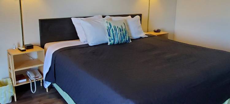 仙人掌旅馆套房(Cactus Inn and Suites)图片