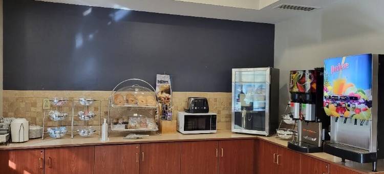 温德姆斯塔克维尔麦客达套房酒店(Starkville Inn & Suites)图片