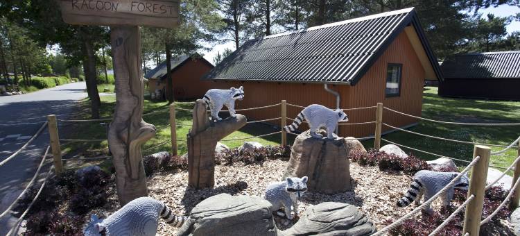 乐高乐园荒野桶子小屋酒店(Legoland Wilderness Barrels & Cabins)图片