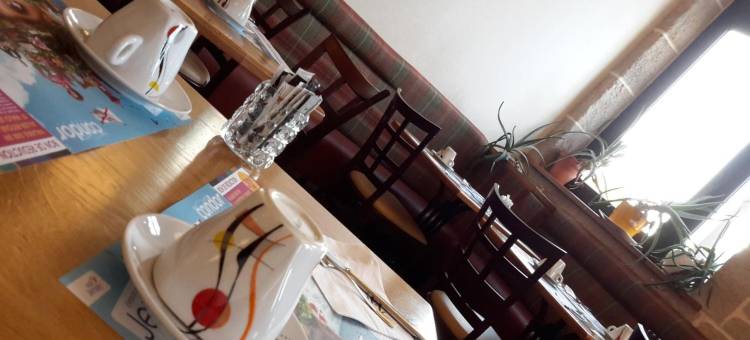 布里特阿里戈酒店(Brit Hotel Alghotel)图片