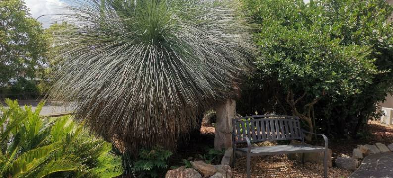 莱卡特汽车旅馆(Leichhardt Motor Inn)图片
